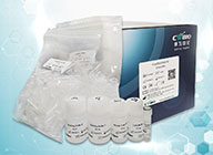 Column / Magbead Viral NucleicAcids Extraction Kit