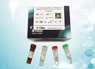 Novel Coronavirus Nucleic Acid Detection Kit<br>(pcr-fluorescence Probing)